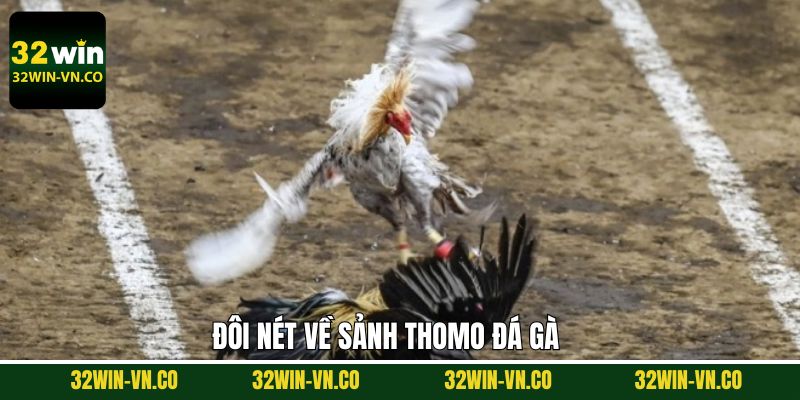 Vài nét về sảnh chọi kê hàng đầu hiện nay
