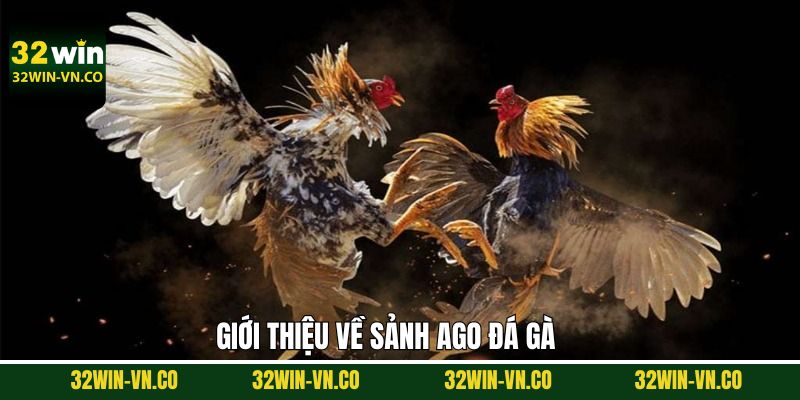 Thông tin hữu ích về AGO đá gà