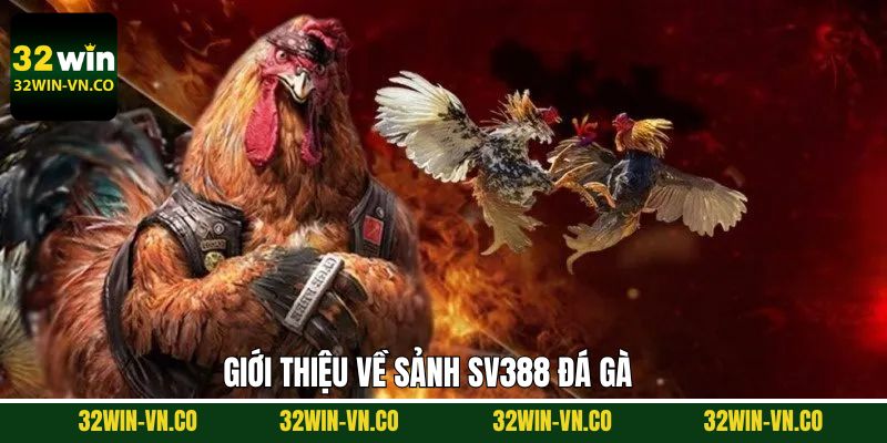 Thông tin hấp dẫn về sảnh SV388 đá gà