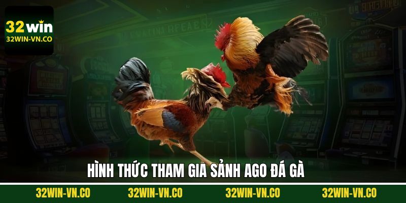 Khám phá về các loại hình AGO đá gà đỉnh cao nhất 32Win
