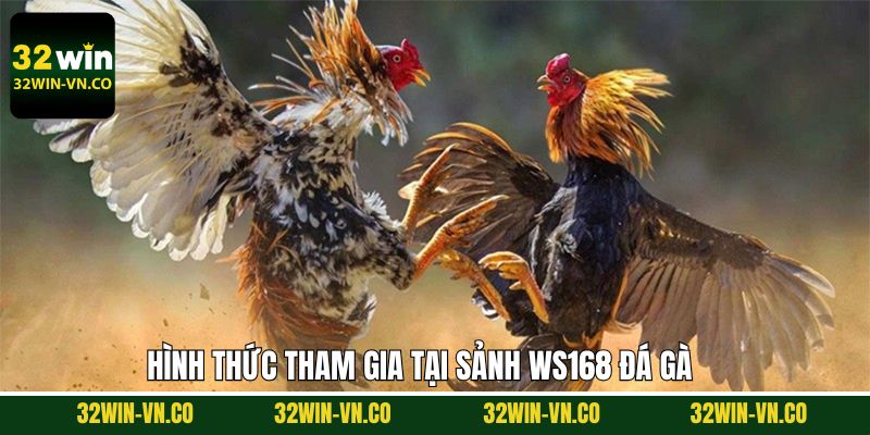 Khám phá hình thức đá gà Ws168 đình đám tại nền tảng 32Win