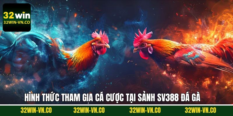 Khám phá đa dạng về các hình thức đá gà phổ biến nhất