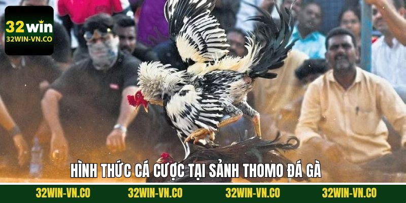 Các siêu phẩm đá gà kịch tính trên sảnh Thomo chọi kê