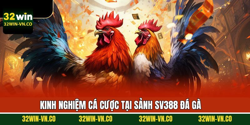 Bật mí mẹo hay khi tham gia vào đá gà giành thắng lớn 32Win