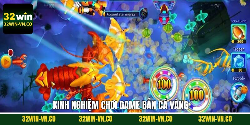Mẹo hay được chuyên gia chia sẻ khi săn cá vàng thắng lớn
