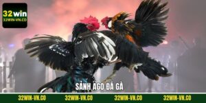 AGO Đá Gà - Sảnh Đấu Chọi Gà Đỉnh Cao Tại 32Win