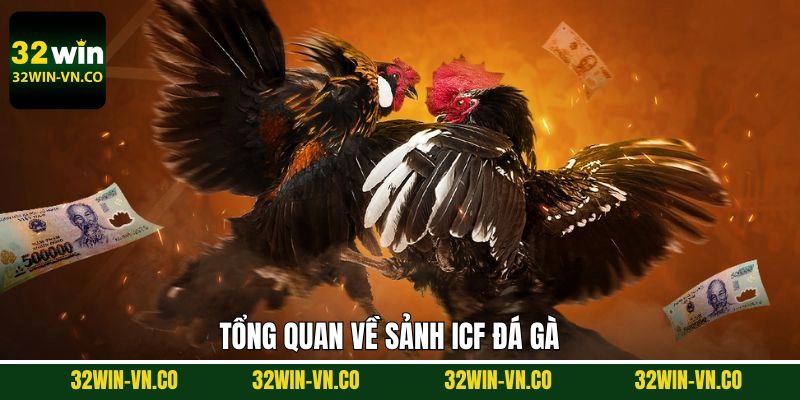 Nét chính về sảnh ICF nổi tiếng